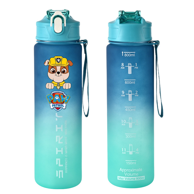 800ml PAW Patrol Sports Water  - Kids Outdoor Movies 评论和价格